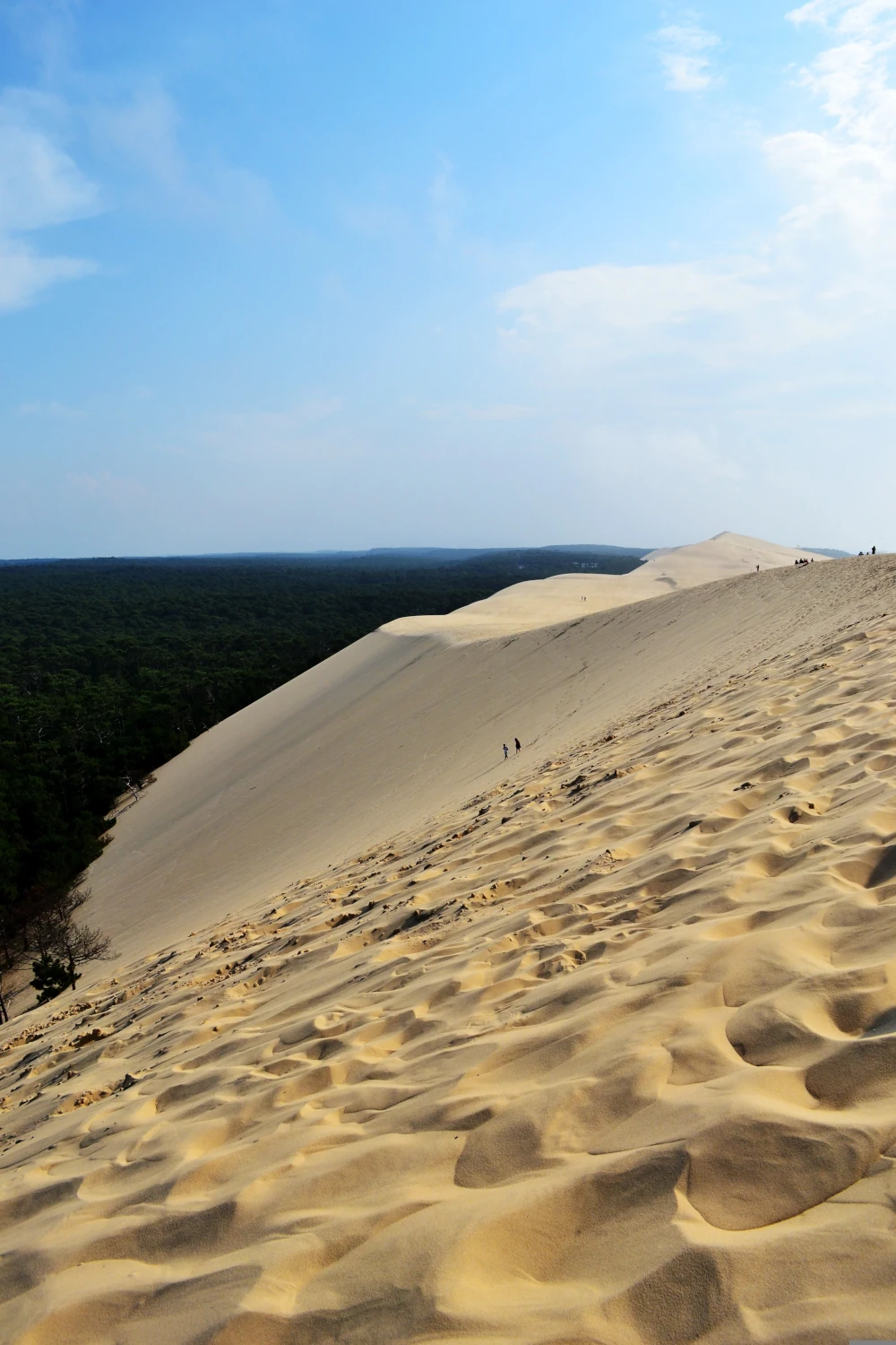 La Dune du Pilat