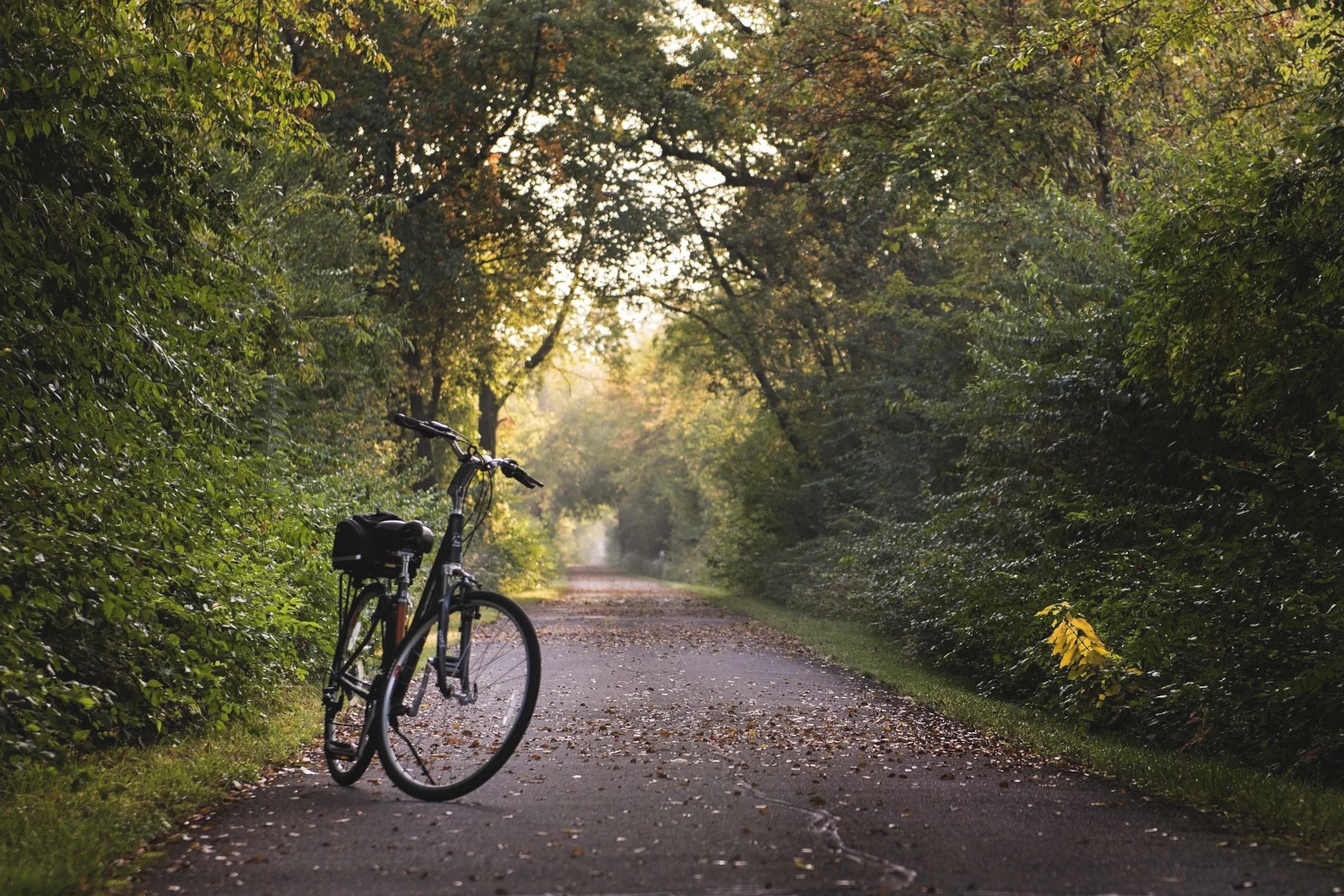 Piste Roger Lapébie